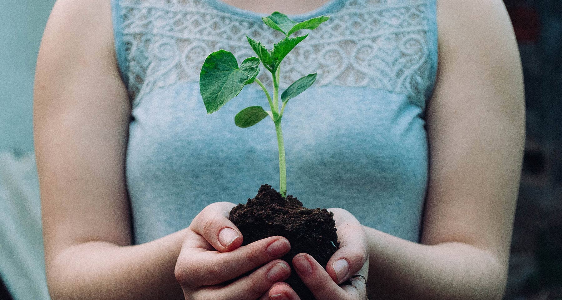 Projekt unijny – wpis przykładowy 2