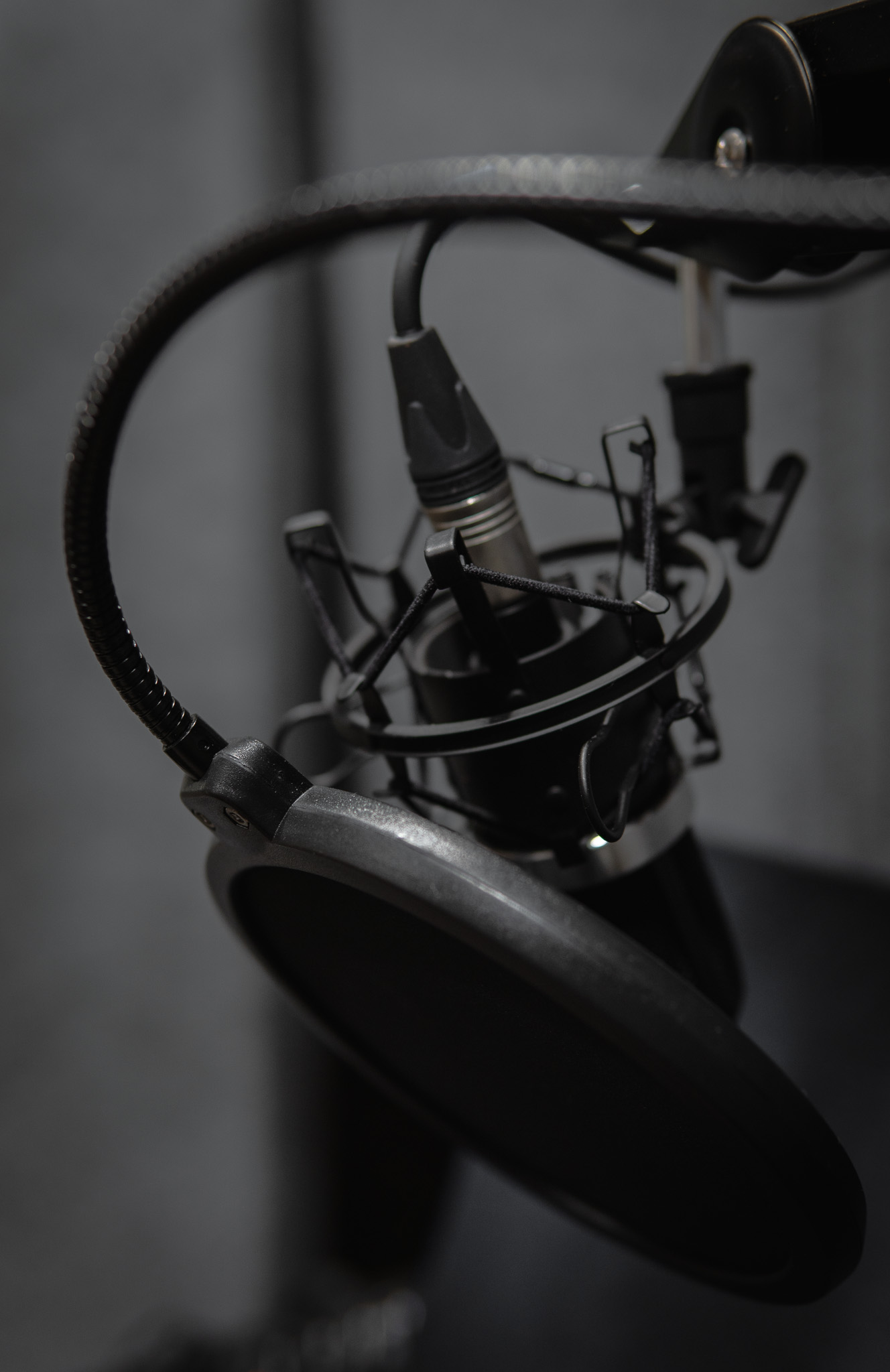 Zbliżenie na profesjonalny mikrofon studyjny.